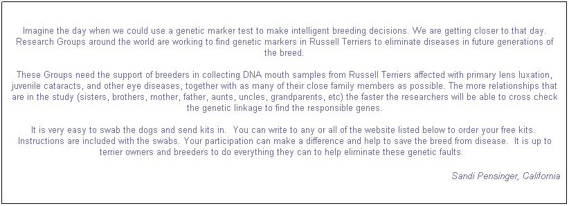 Text Box: Imagine the day when we could use a genetic marker test to make intelligent breeding decisions. We are getting closer to that day. Research Groups around the world are working to find genetic markers in Russell Terriers to eliminate diseases in future generations of the breed. 

These Groups need the support of breeders in collecting DNA mouth samples from Russell Terriers affected with primary lens luxation, juvenile cataracts, and other eye diseases, together with as many of their close family members as possible. The more relationships that are in the study (sisters, brothers, mother, father, aunts, uncles, grandparents, etc) the faster the researchers will be able to cross check the genetic linkage to find the responsible genes.

It is very easy to swab the dogs and send kits in.  You can write to any or all of the website listed below to order your free kits.  Instructions are included with the swabs. Your participation can make a difference and help to save the breed from disease.  It is up to terrier owners and breeders to do everything they can to help eliminate these genetic faults.   
Sandi Pensinger, California

